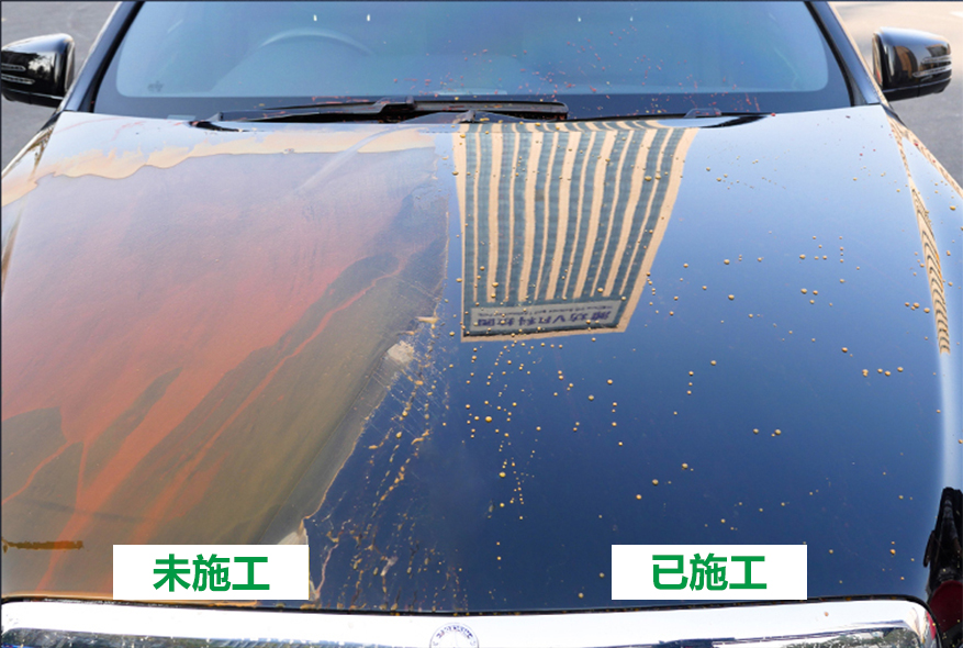 全車漆面鍍晶